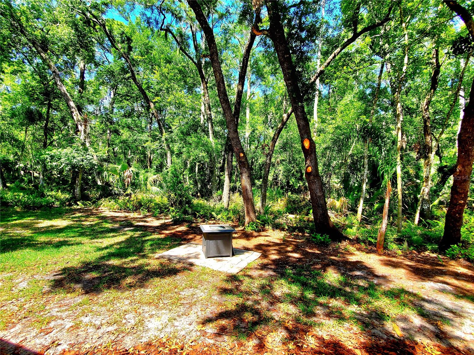 TARPON WOODS 2ND ADD REP - Residential