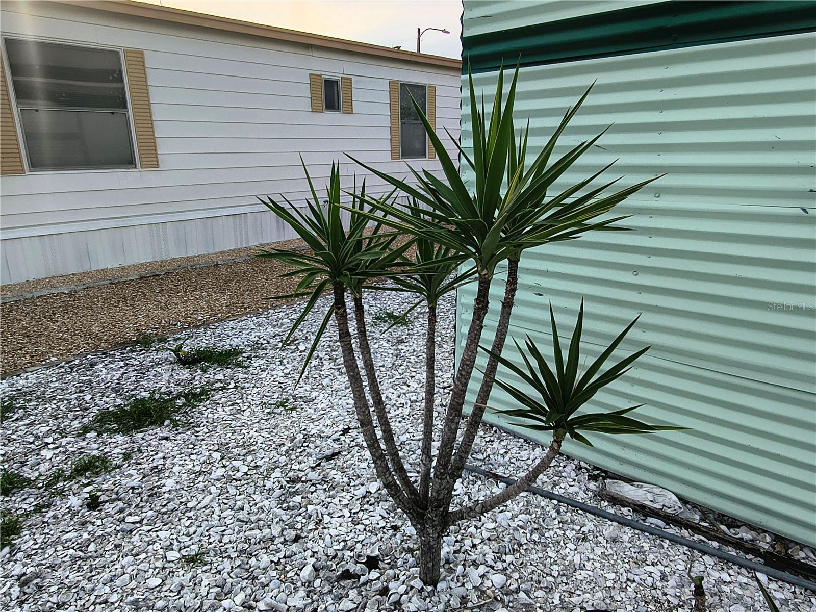 PONDEROSA PARK - Residential