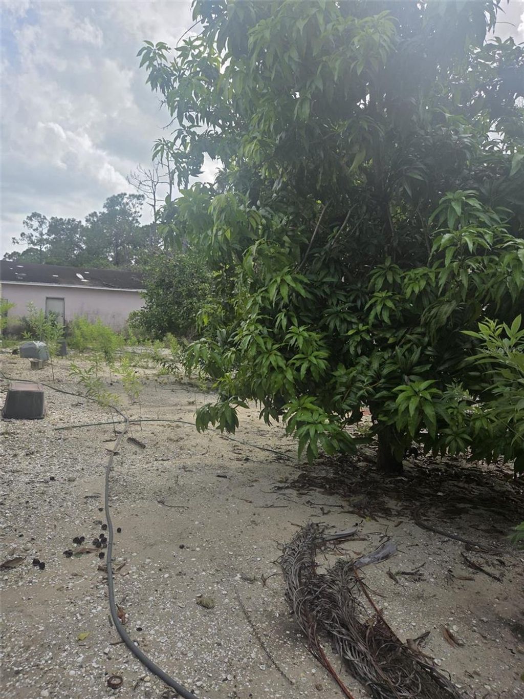 Photo of 1850 Panama Avenue, Clewiston, FL 33440 (MLS # S5136262)