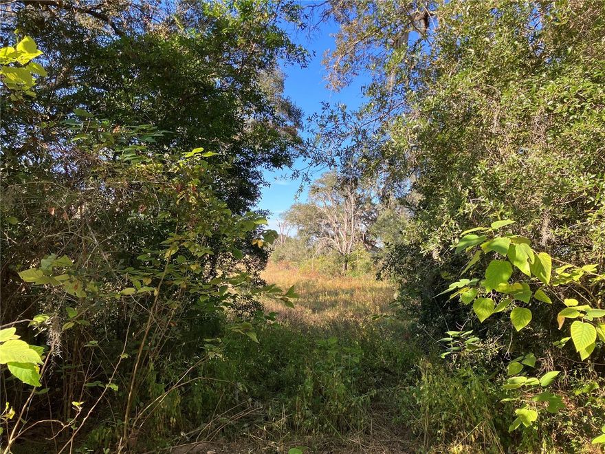 Discover the allure of 5 pristine acres nestled just 19 miles away from Ocala, FL. This uncleared canvas presents a charming pond that adds a touch of serenity to the landscape. Boasting immense potential, the property is strategically located only 13 miles from the renowned World Equestrian Center, offering horse enthusiasts ample room to bring their equine companions. Embrace the tranquility of central Florida's natural beauty as you envision and create your own oasis on this expansive and promising piece of land.