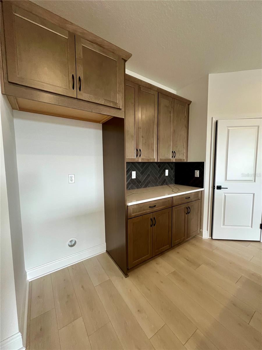 HILLS OF MINNEOLA - Residential