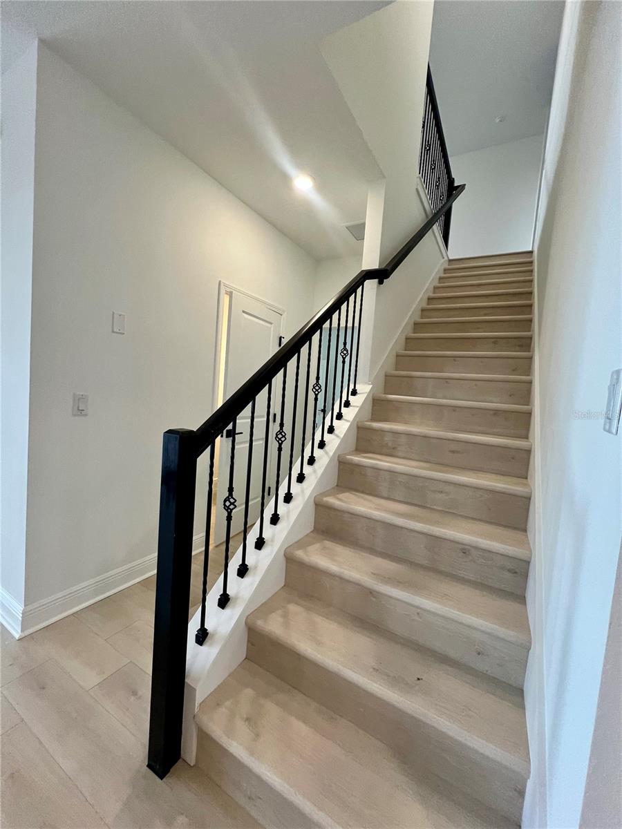 HILLS OF MINNEOLA - Residential