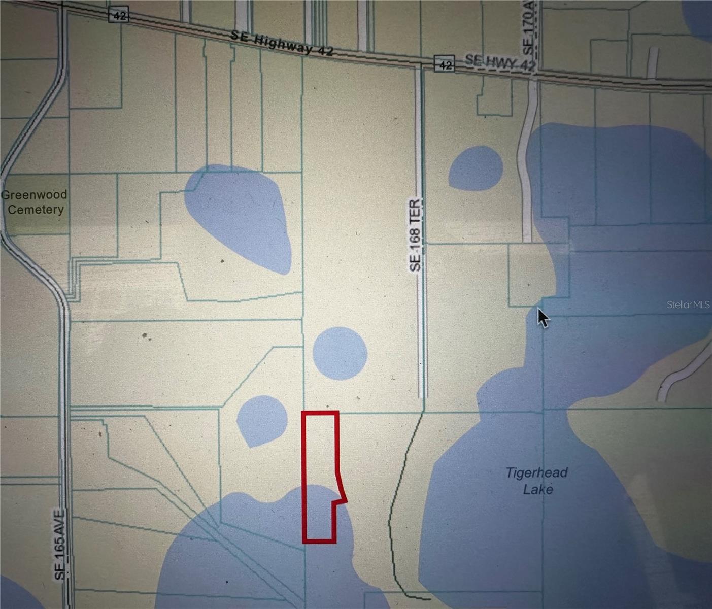 TIGERHEAD LAKE AREA - Land