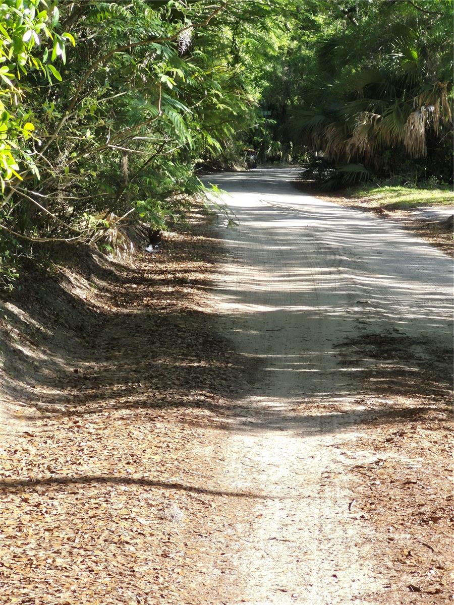 FLORIDA HIGHLANDS - Land