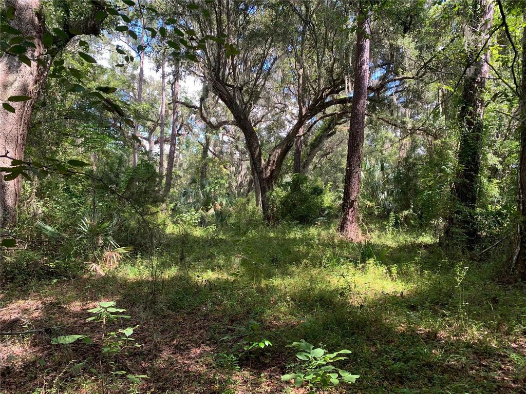 Photo of 0 Cortez Boulevard, Brooksville, FL 34601 (MLS # TB8425168)