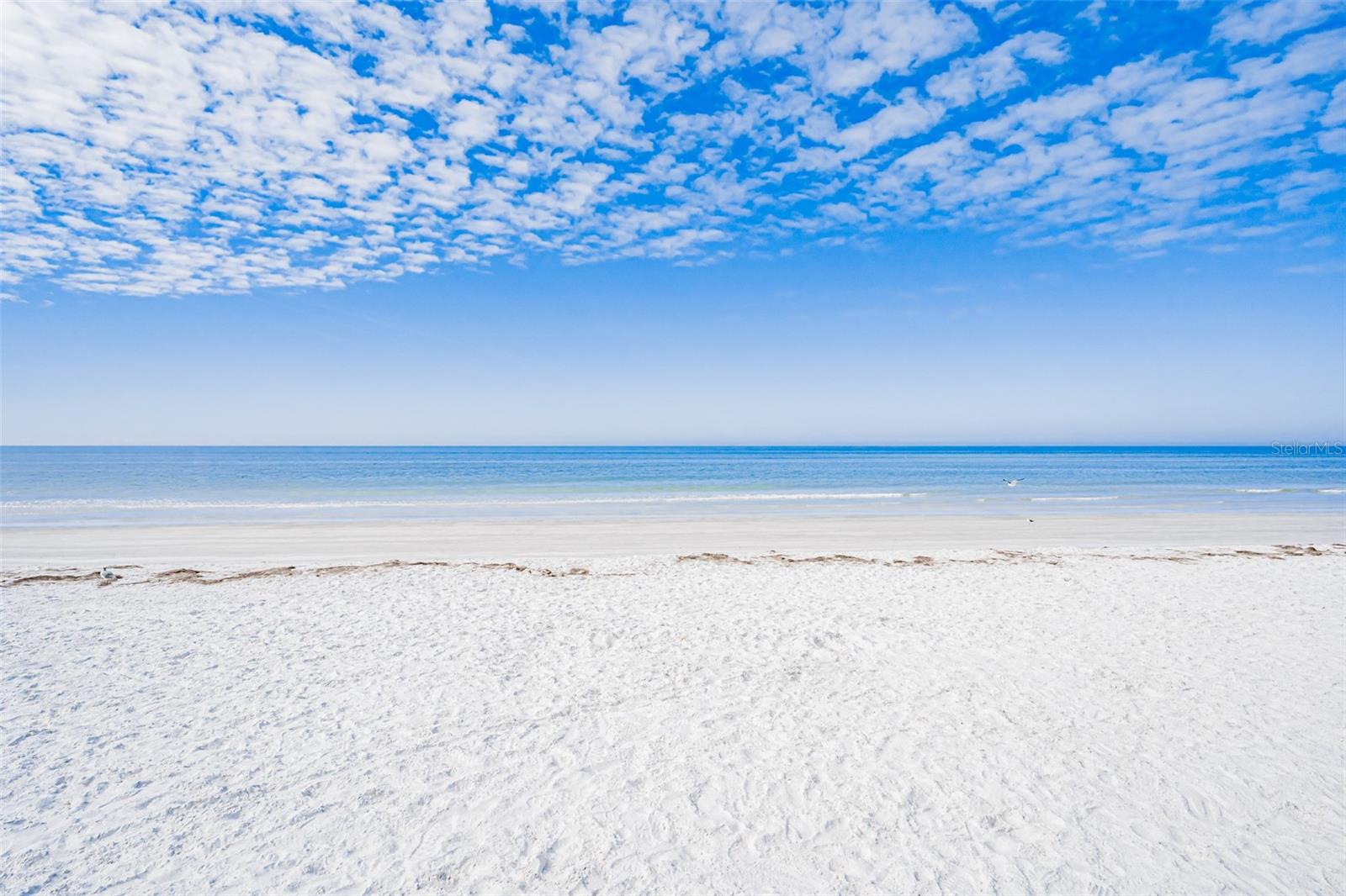 HAPPY FIDDLER CONDO THE - Residential