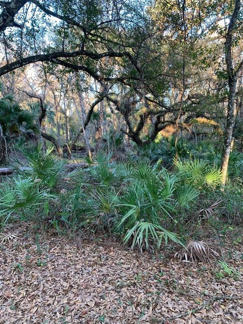 49 FENNY BOSK TRAIL VENUS FL 33960