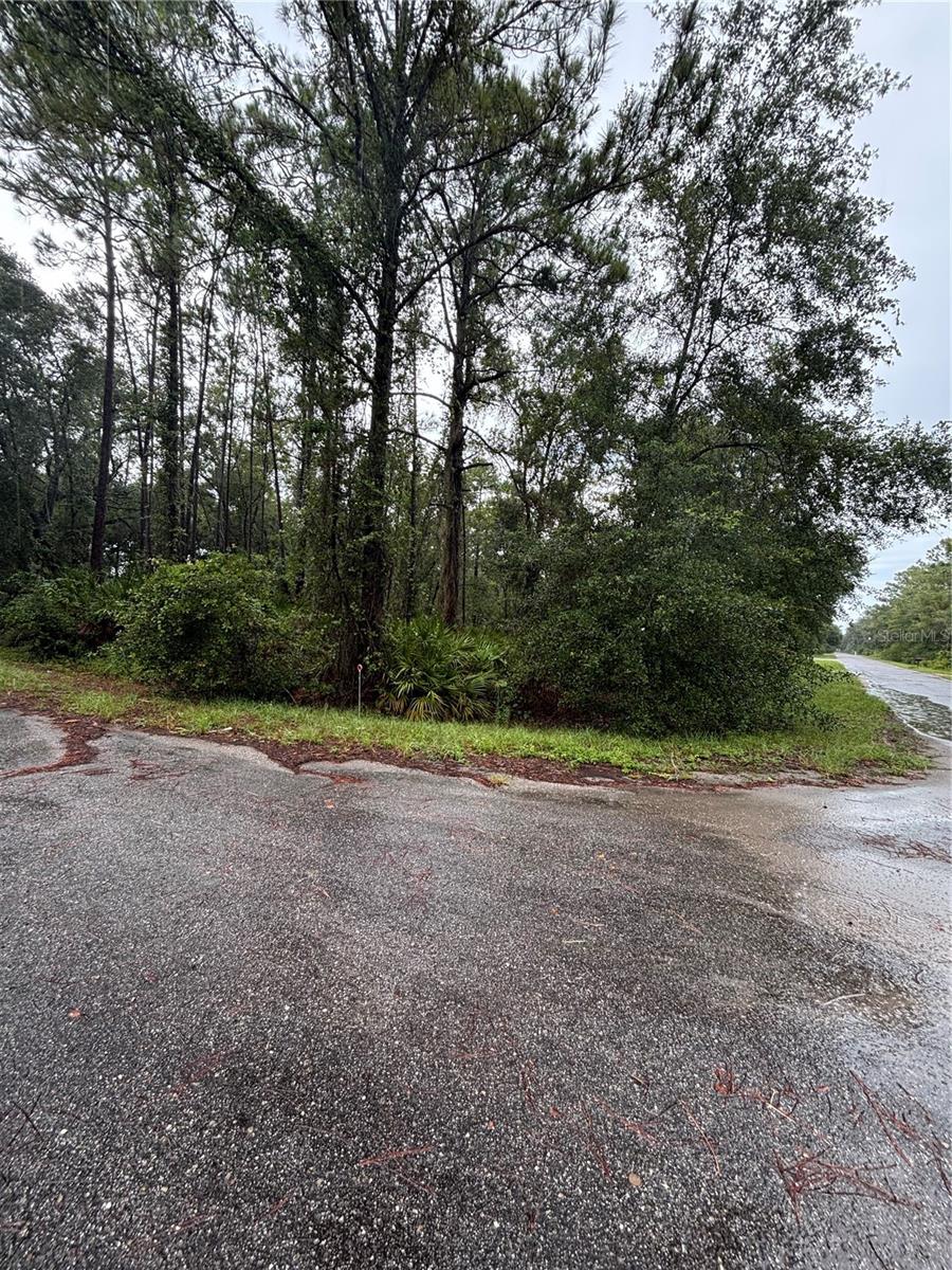 Vacant Corner Lot
Lot next to this is also available
