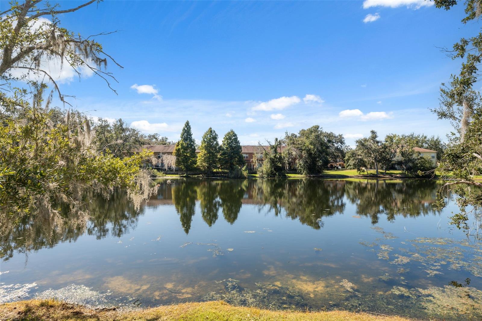 ST CHARLES - Residential