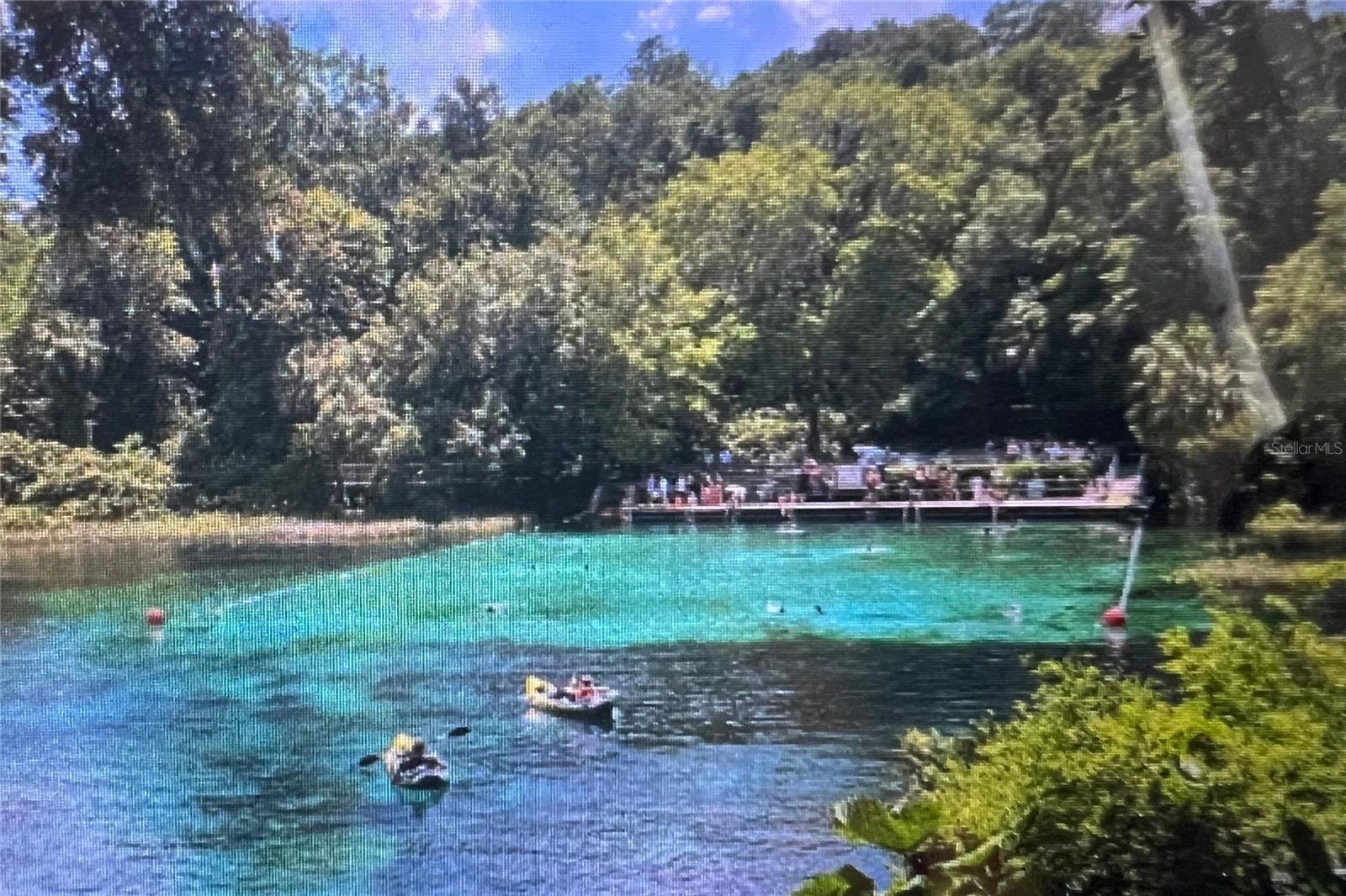 CITRUS SPRINGS - Land