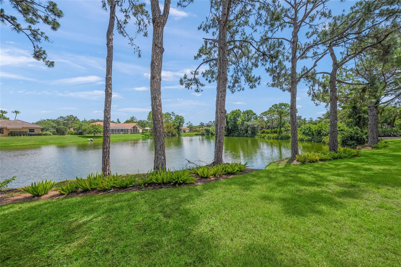 MISTY CREEK - Residential
