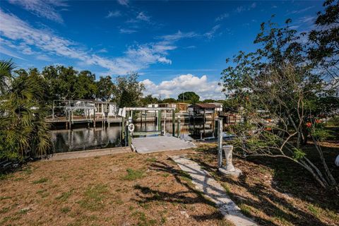 A home in TAMPA