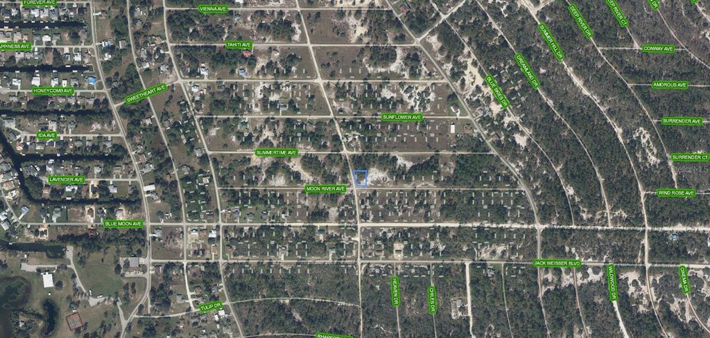 Photo of 300 Moon River Avenue, Lake Placid, FL 33852 (MLS # A4693197)