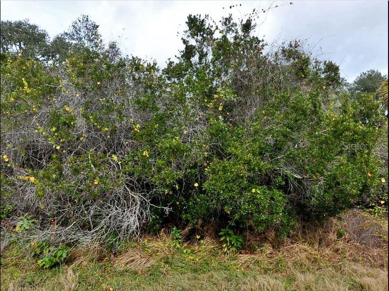 PORT CHARLOTTE SUB 14 REP - Land