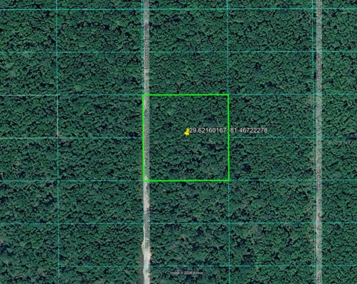 UNDERWOOD AVENUE, HASTINGS, FL 32145 - Image 5390d826bdc7f4e1537c1f0932bc4a5e/1265384329