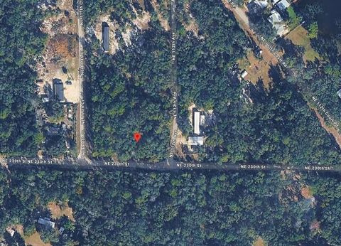 Tiny photo for No Situs, Fort Mccoy, FL 32134 (MLS # O6406978)
