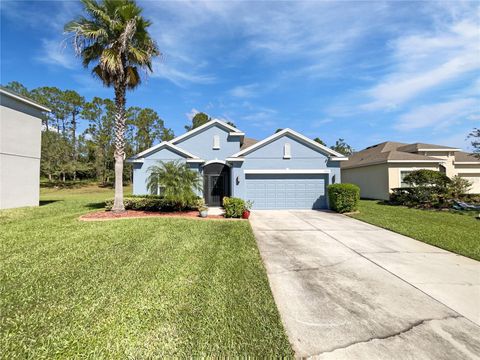 Photo of 3263 Plumlee Court, Grand Island, FL 32735 (MLS # O6352821)