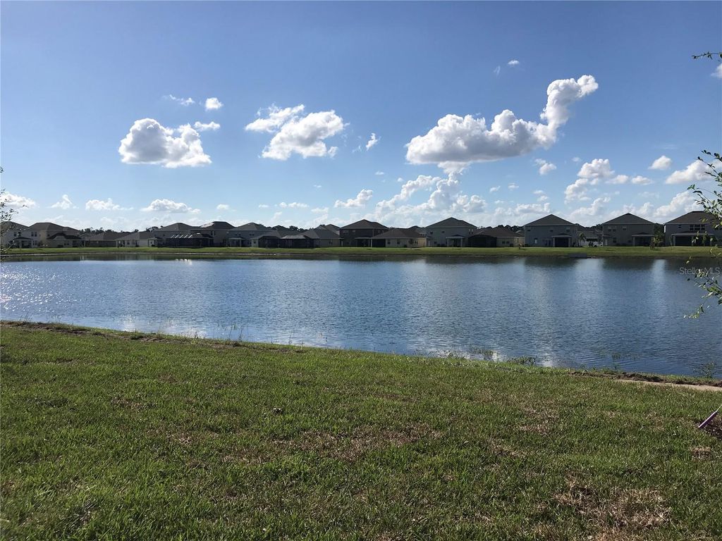 Photo of 10018 Yellow Jasmine Drive, Orlando, FL 32832 (MLS # O6381248)