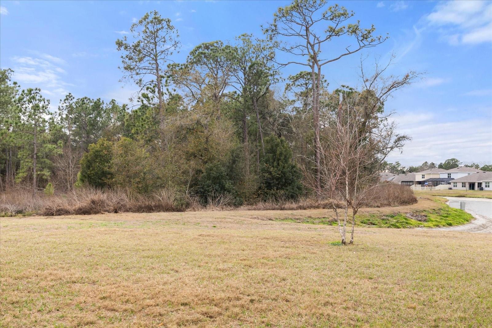 ASHBERRY VILLAGE PH 2A - Residential