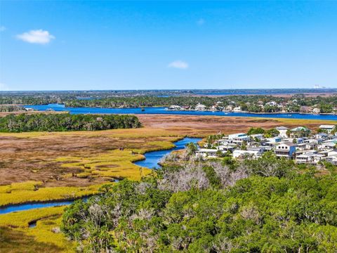 Tiny photo for 5995 S Shadytree Path, Homosassa, FL 34448 (MLS # TB8458219)