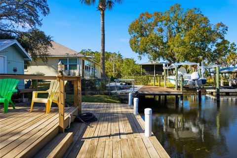 Tiny photo for 5995 S Shadytree Path, Homosassa, FL 34448 (MLS # TB8458219)
