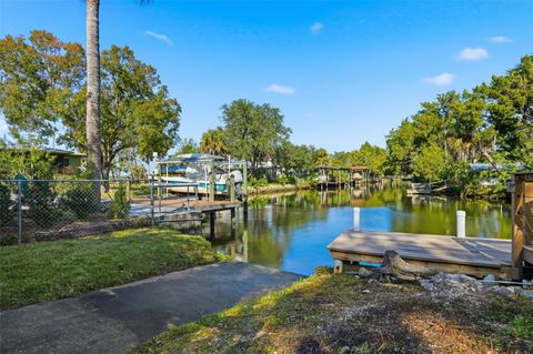 Tiny photo for 5995 S Shadytree Path, Homosassa, FL 34448 (MLS # TB8458219)