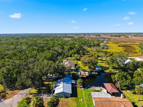 Tiny photo for 5995 S Shadytree Path, Homosassa, FL 34448 (MLS # TB8458219)