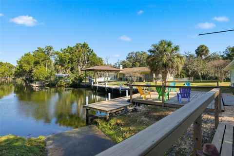 Tiny photo for 5995 S Shadytree Path, Homosassa, FL 34448 (MLS # TB8458219)