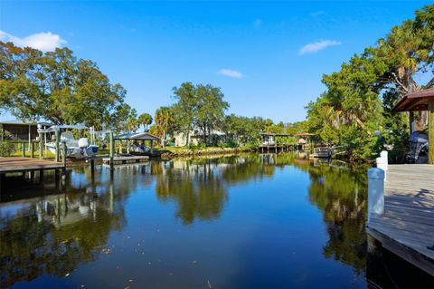 Tiny photo for 5995 S Shadytree Path, Homosassa, FL 34448 (MLS # TB8458219)