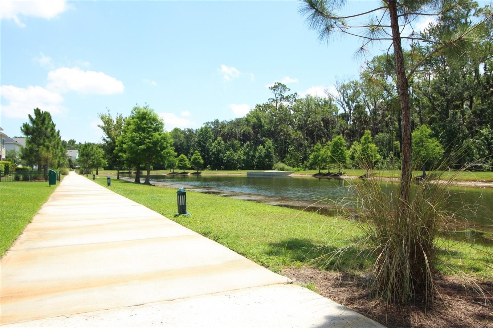 CELEBRATION NORTH VILLAGE UNIT 05 - Residential