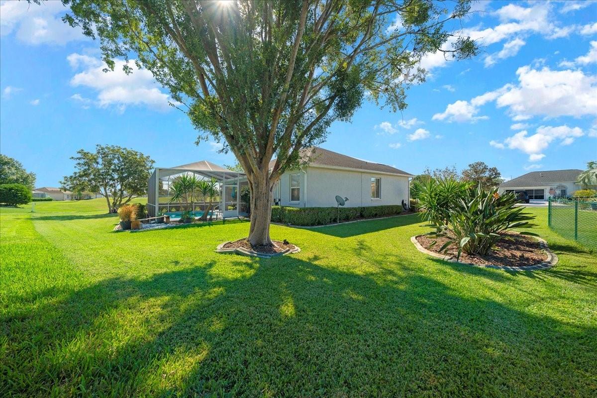 OCALA PALMS - Residential