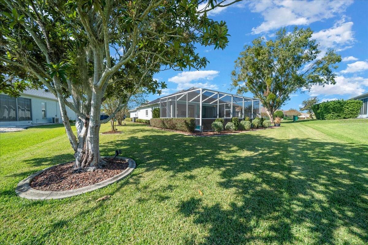 OCALA PALMS - Residential