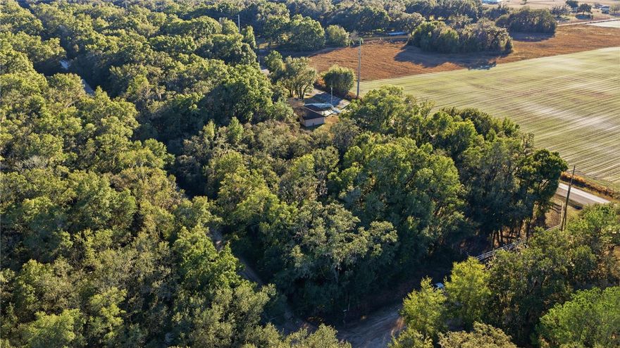 Imagine owning this beautiful, ready-to-build 1.33-acre parcel located in the desirable Rolling Ranch Estates of Dunnellon. This well-sought-after area is known for its peaceful setting, privacy, and natural beauty—ideal for those seeking quiet country living. Conveniently located within driving distance to the World Equestrian Center, Ocala, and Rainbow Springs State Park, this property offers the perfect balance of country charm and accessibility. No HOA. A great opportunity for you to own your piece of America in a very rapid growing area and build the home you’ve always dreamed of.