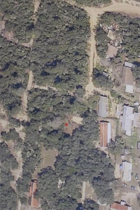 Photo of NE 233 Place, Salt Springs, FL 32134 (MLS # TB8562056)