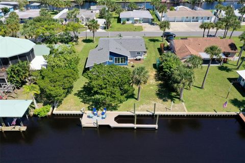 A home in FLAGLER BEACH