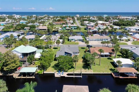 A home in FLAGLER BEACH