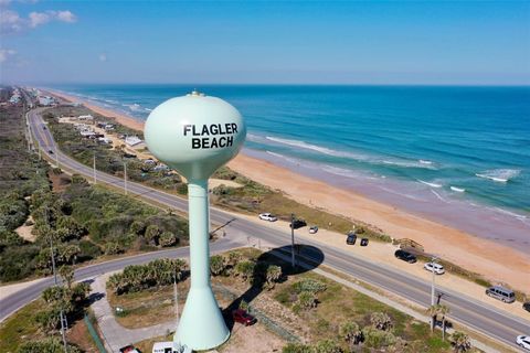 A home in FLAGLER BEACH