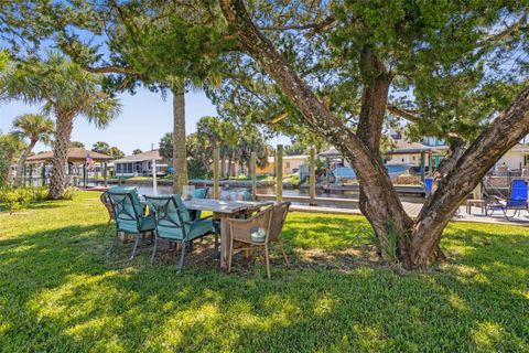 A home in FLAGLER BEACH