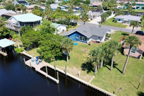 A home in FLAGLER BEACH