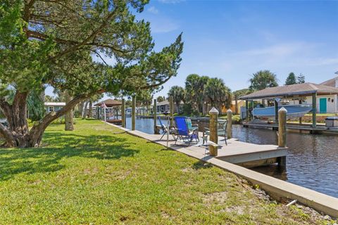 A home in FLAGLER BEACH