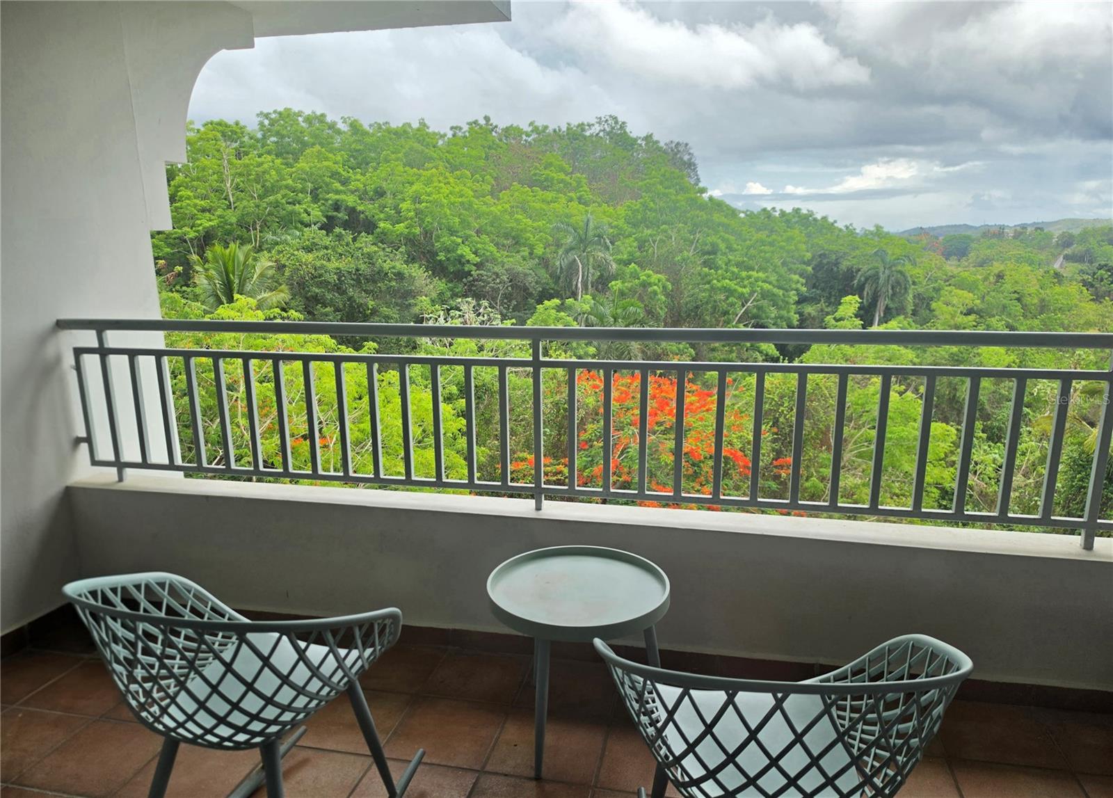 PR 450 BUENA VISLTA VILLAGE 1542