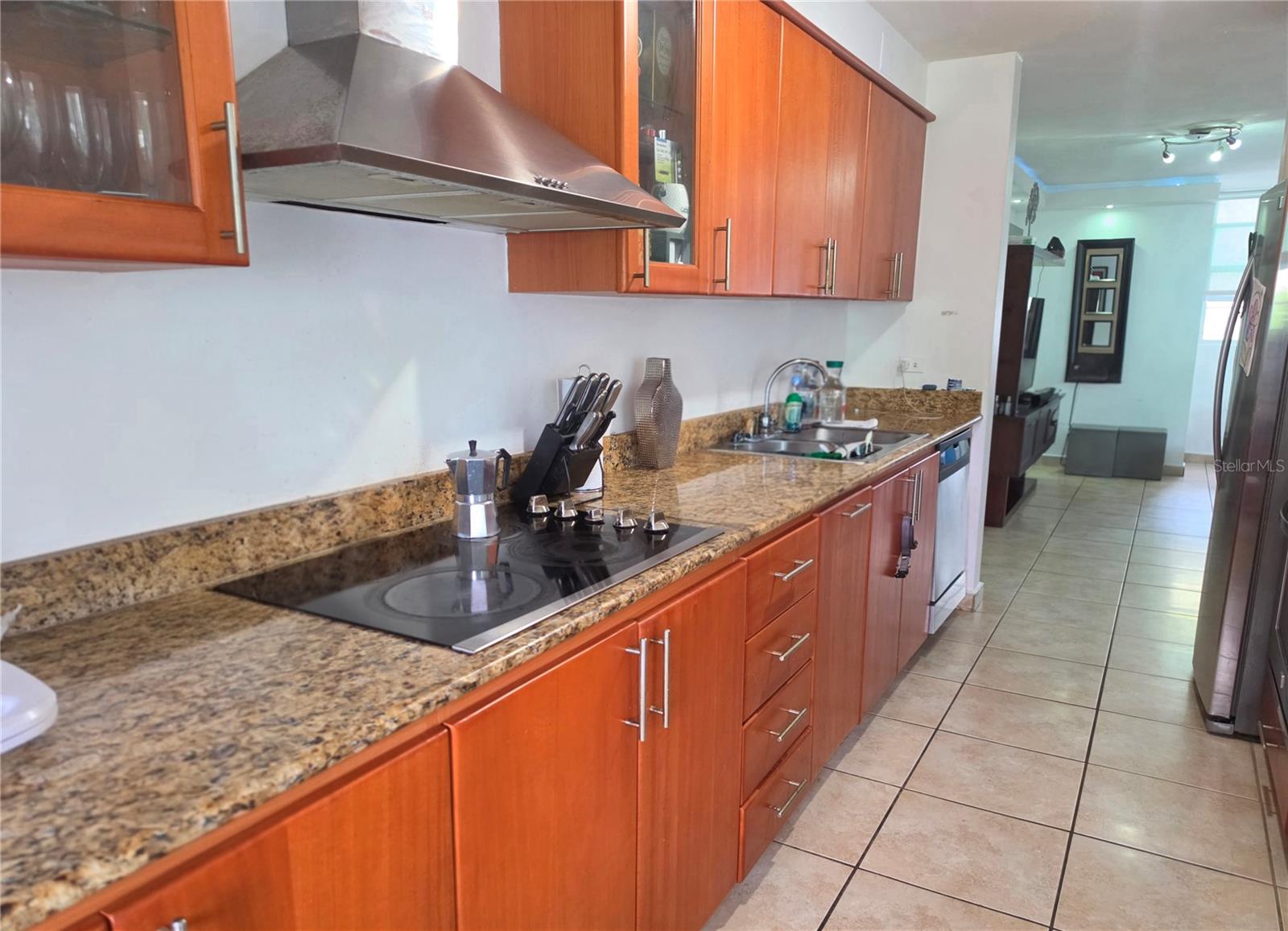PR 450 BUENA VISLTA VILLAGE 1542