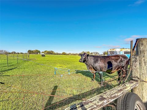 Tiny photo for 855 NE 107th Road, Oxford, FL 34484 (MLS # TB8486454)