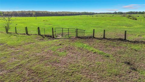 Tiny photo for 855 NE 107th Road, Oxford, FL 34484 (MLS # TB8486454)