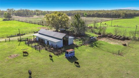 Tiny photo for 855 NE 107th Road, Oxford, FL 34484 (MLS # TB8486454)