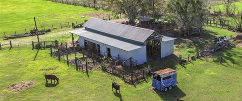 Tiny photo for 855 NE 107th Road, Oxford, FL 34484 (MLS # TB8486454)