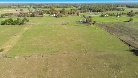 Tiny photo for 855 NE 107th Road, Oxford, FL 34484 (MLS # TB8486454)