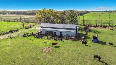 Tiny photo for 855 NE 107th Road, Oxford, FL 34484 (MLS # TB8486454)