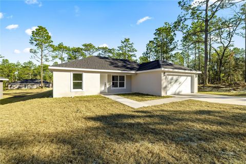 Photo of 24125 NW Foxglove Lane, Dunnellon, FL 34431 (MLS # OM718684)