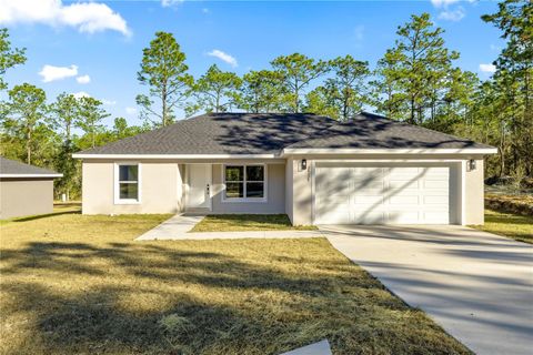Photo of 24125 NW Foxglove Lane, Dunnellon, FL 34431 (MLS # OM718684)